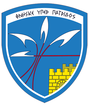 113 Πτέρυγα Μάχης